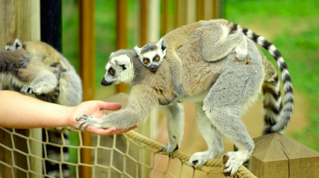 Screen Shot 2015-08-06 at 00.05.54